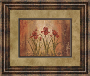 The Iris Style By Vivian Flasch 34X40 Framed Print