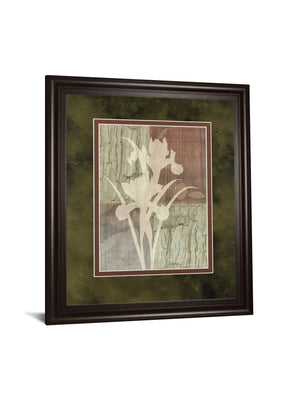 Iris Silhouette By Various 34X40 Framed Print