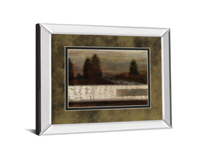 Mirrored Frame Quiet Forest By Roxi Gray 34X40 Mirror Frame Print