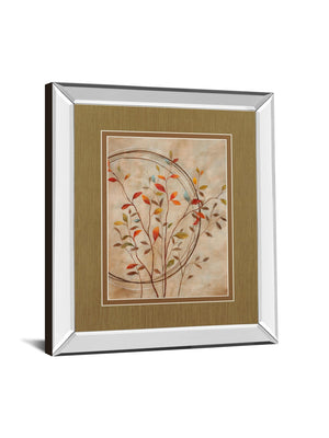 Mirrored Frame Autumn'S Delight Ii By Nan 34X40 Mirror Frame Print