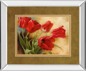Mirrored Frame Garden In Hollard Ii By Igor Levashou 34X40 Mirror Frame Print