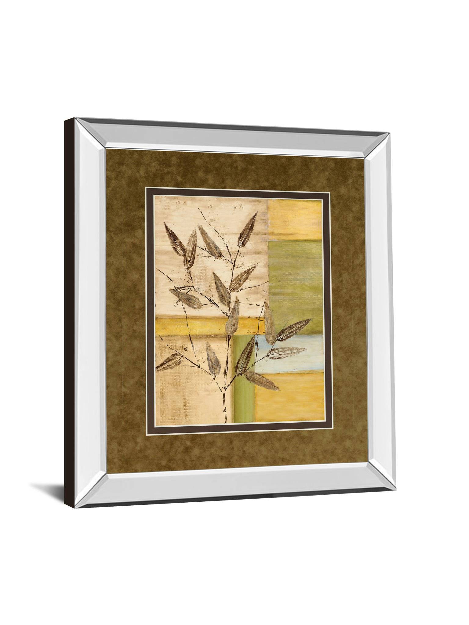 Mirrored Frame Urban Garden I By Norm Olson 34X40 Mirror Frame Print