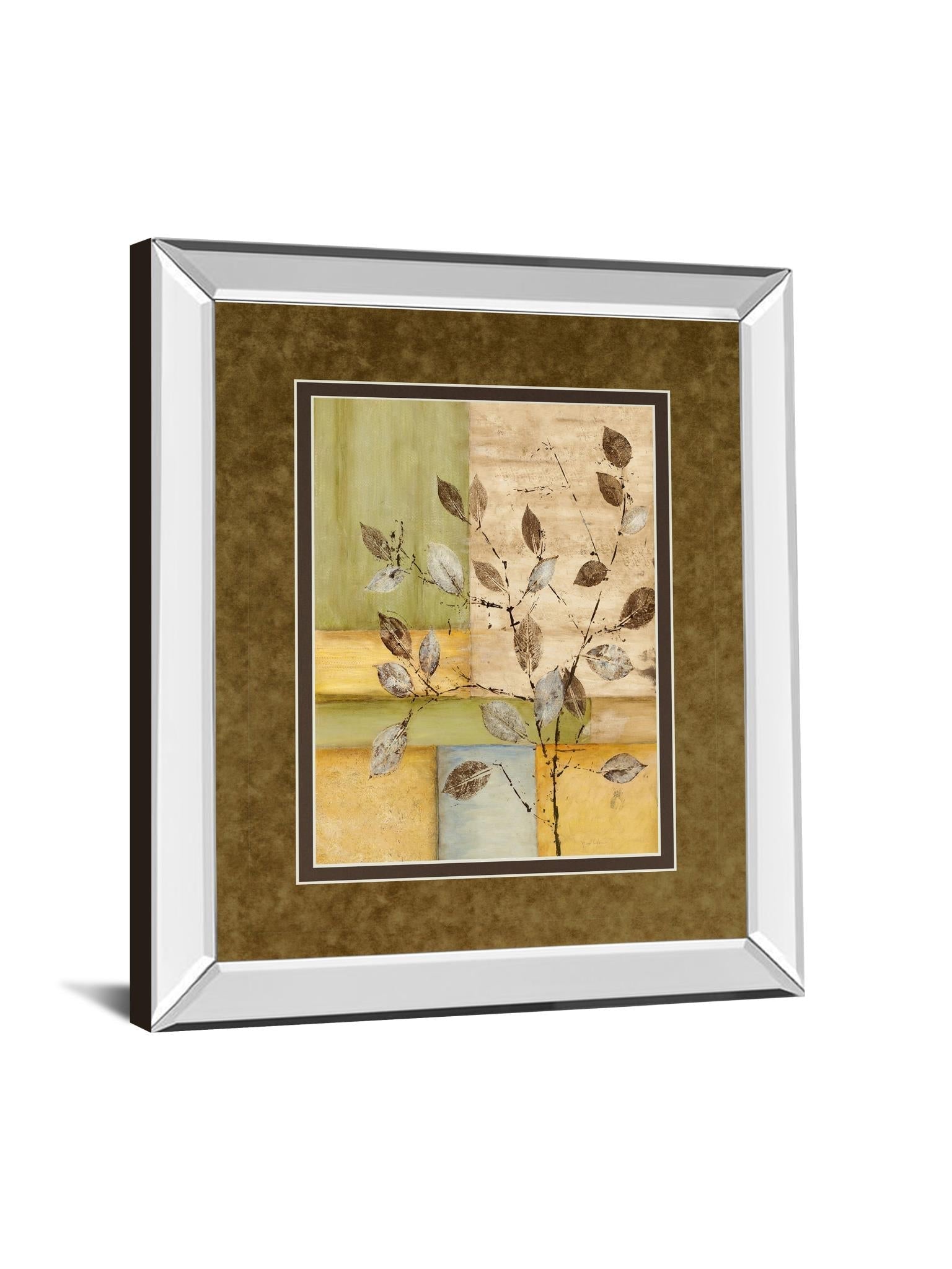 Mirrored Frame Urban Garden Ii By Norm Olson 34X40 Mirror Frame Print