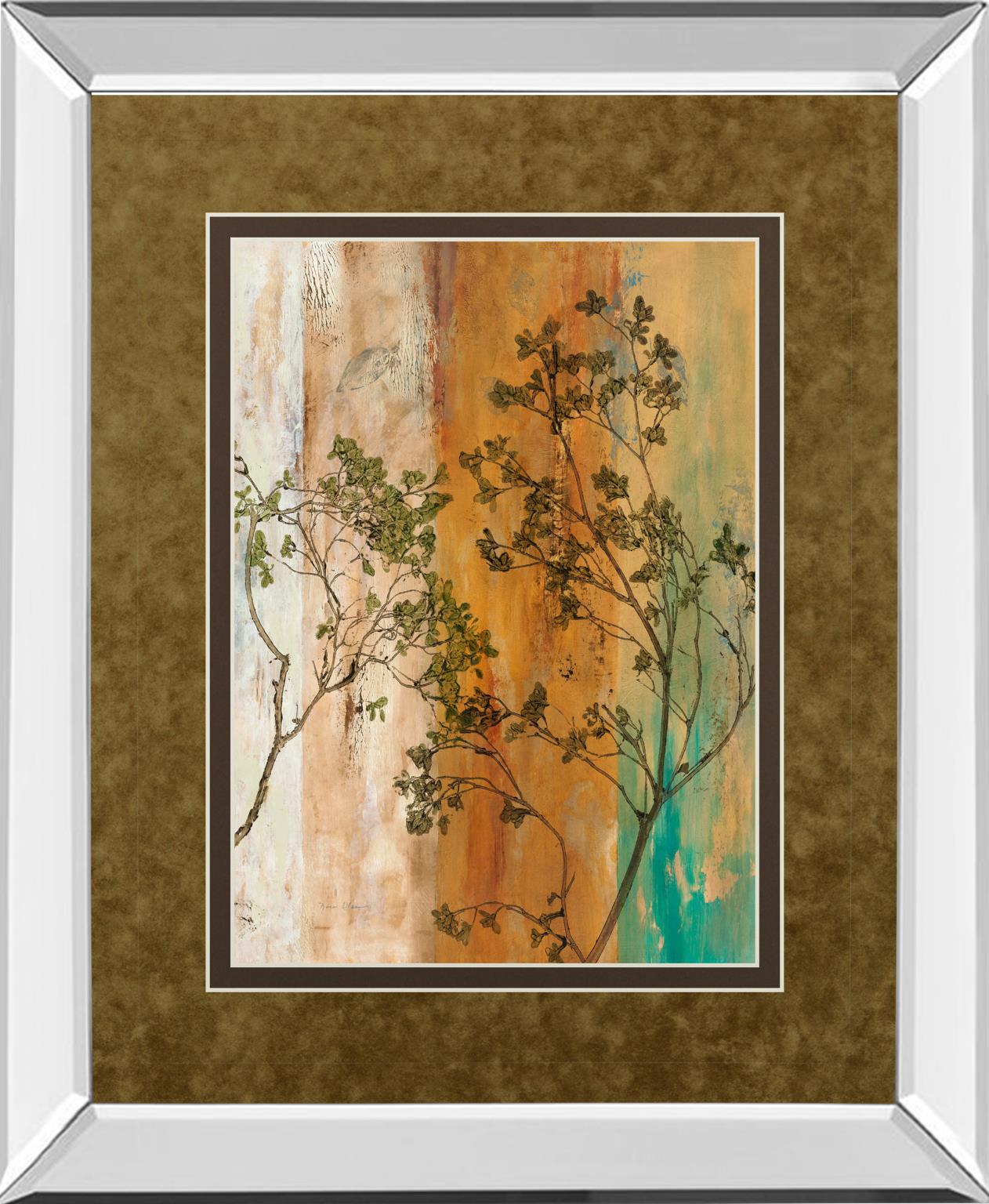 Mirrored Frame Spring Branch Ii By  Norm Olson 34X40 Mirror Frame Print