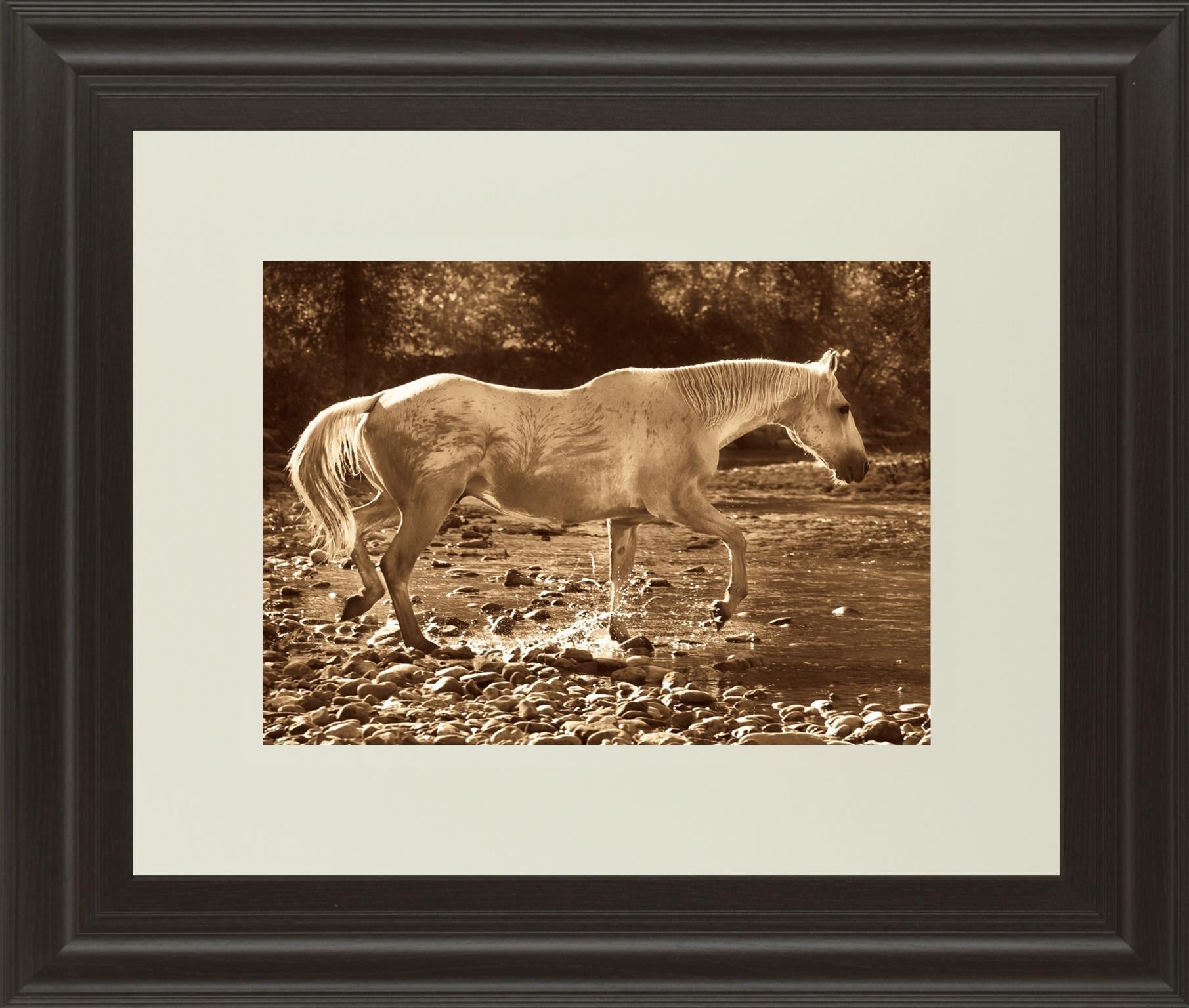 The Crossing  By Wendy Caro 34X40 Framed Print