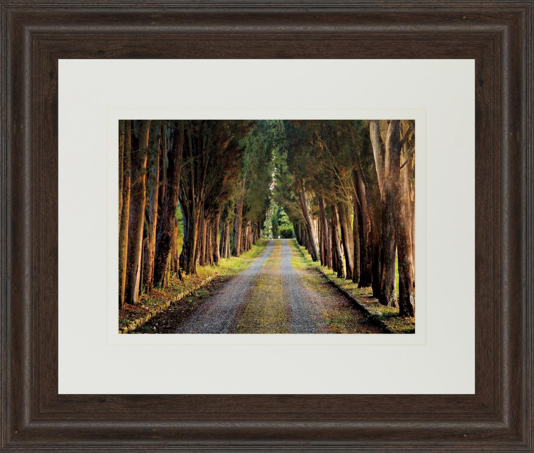 Tree Tunnel By Michael Tunnel ***Monl*** 34X40 Framed Print