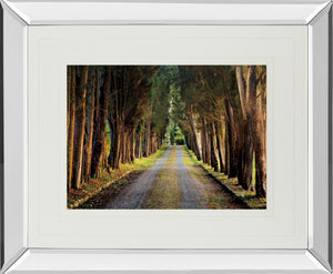 Mirrored Frame Tree Tunnel By Michael Tunnel ***Monl*** 34X40 Mirror Frame Print