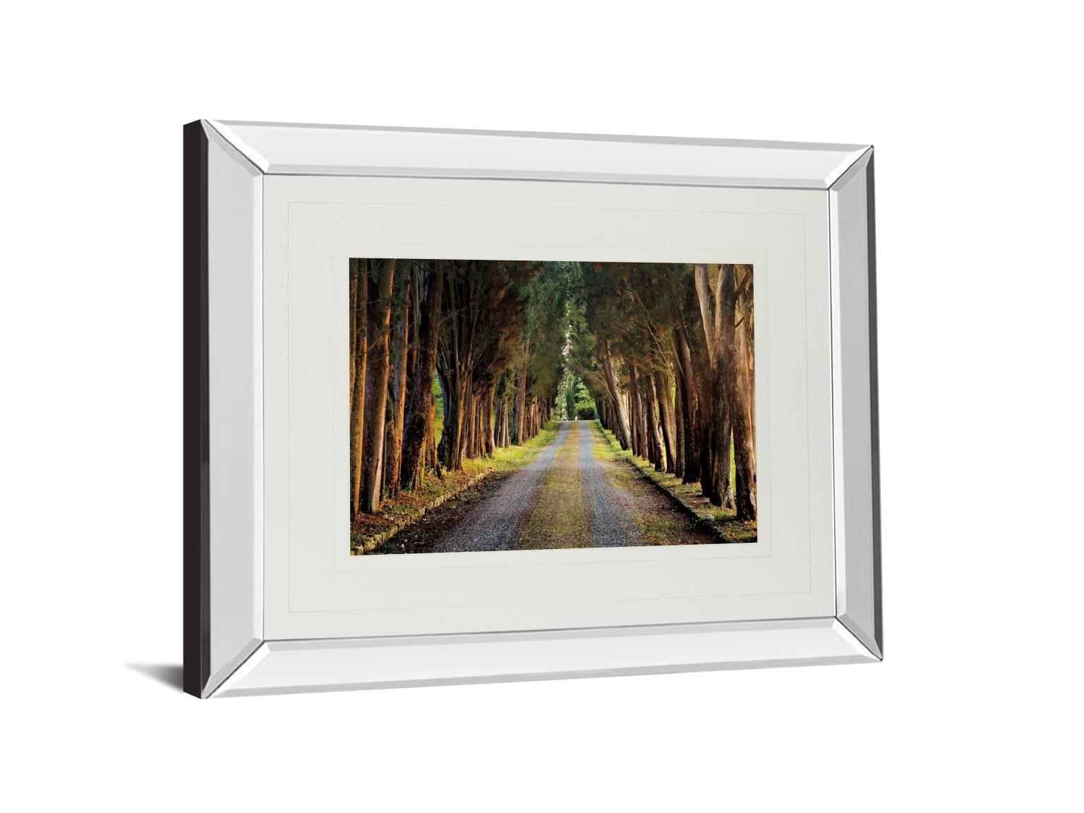 Mirrored Frame Tree Tunnel By Michael Tunnel ***Monl*** 34X40 Mirror Frame Print