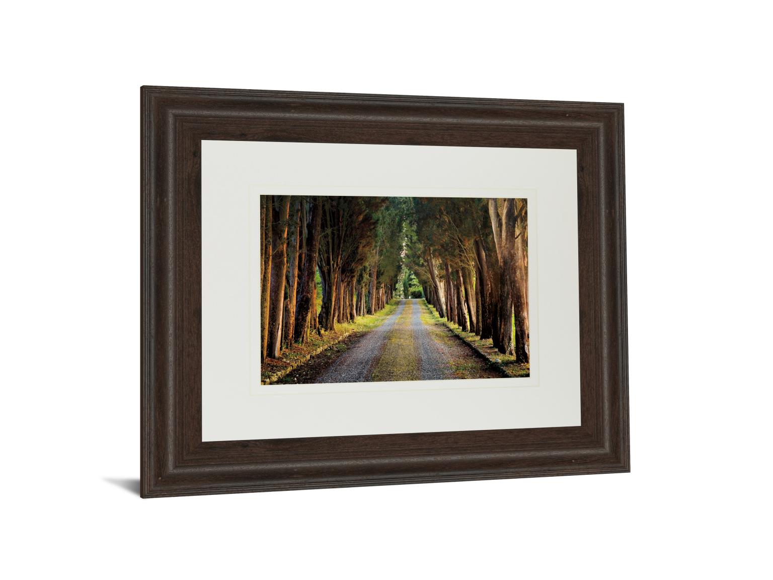 Tree Tunnel By Michael Tunnel ***Monl*** 34X40 Framed Print
