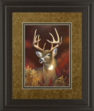 Deer Portrait By Leo Stans 34X40 Framed Print