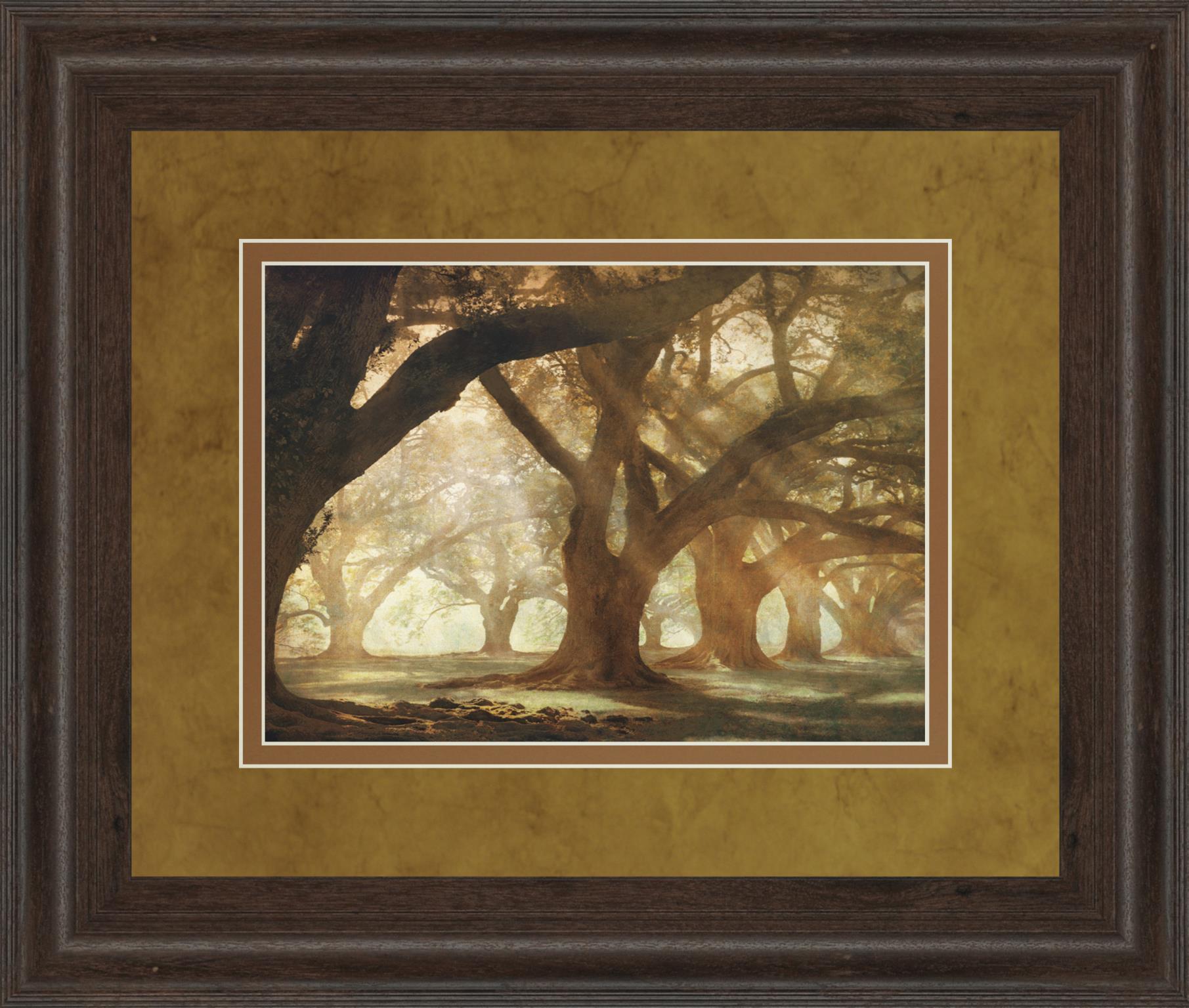 Oak Alley Morning Light By William Guion 34X40 Framed Print