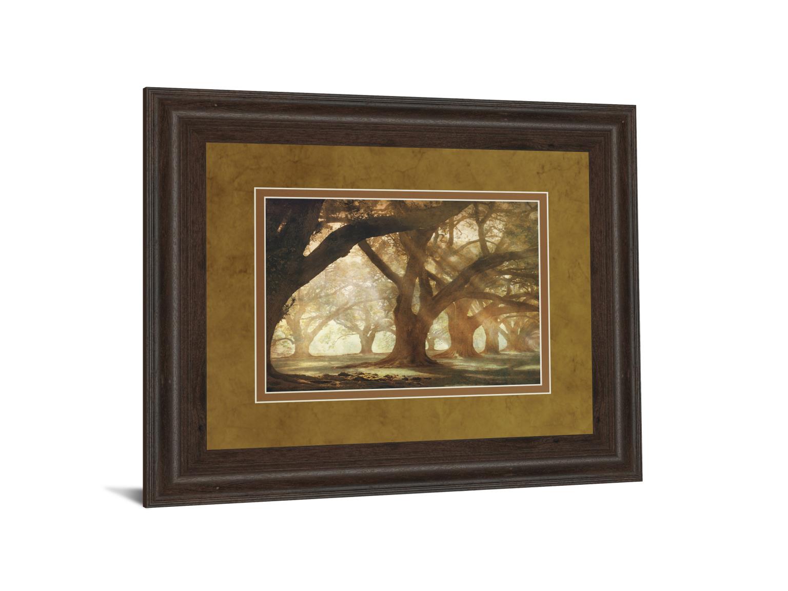 Oak Alley Morning Light By William Guion 34X40 Framed Print