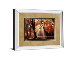 Mirrored Frame Dressed To Shine By Lars Van De Goor 34X40 Mirror Frame Print