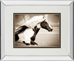 Mirrored Frame Gypsies Pride By Carol Walker 34X40 Mirror Frame Print