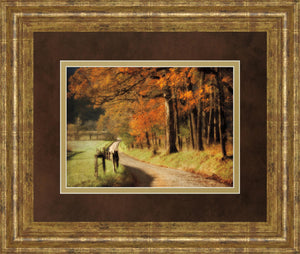 Autumns Morning Light By D. Burt 34X40 Framed Print