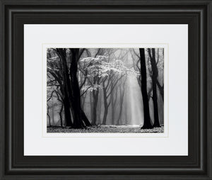 Winter Is Coming By Lars Van De Goor 34X40 Framed Print