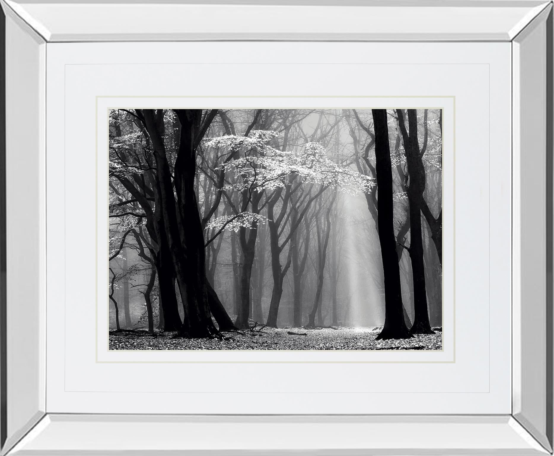 Mirrored Frame Winter Is Coming By Lars Van De Goor 34X40 Mirror Frame Print