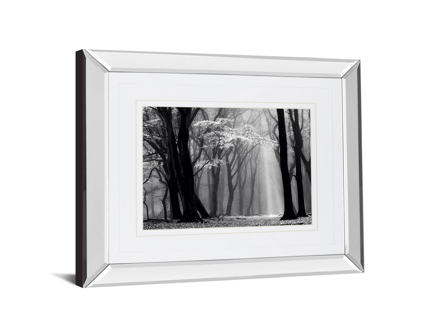 Mirrored Frame Winter Is Coming By Lars Van De Goor 34X40 Mirror Frame Print