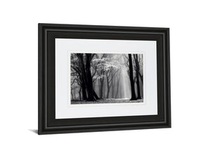 Winter Is Coming By Lars Van De Goor 34X40 Framed Print