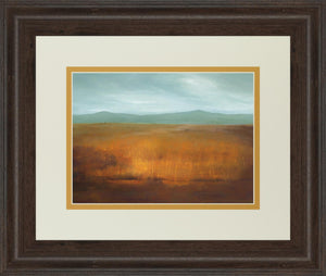 Last Light By Caroline Gold 34X40 Framed Print