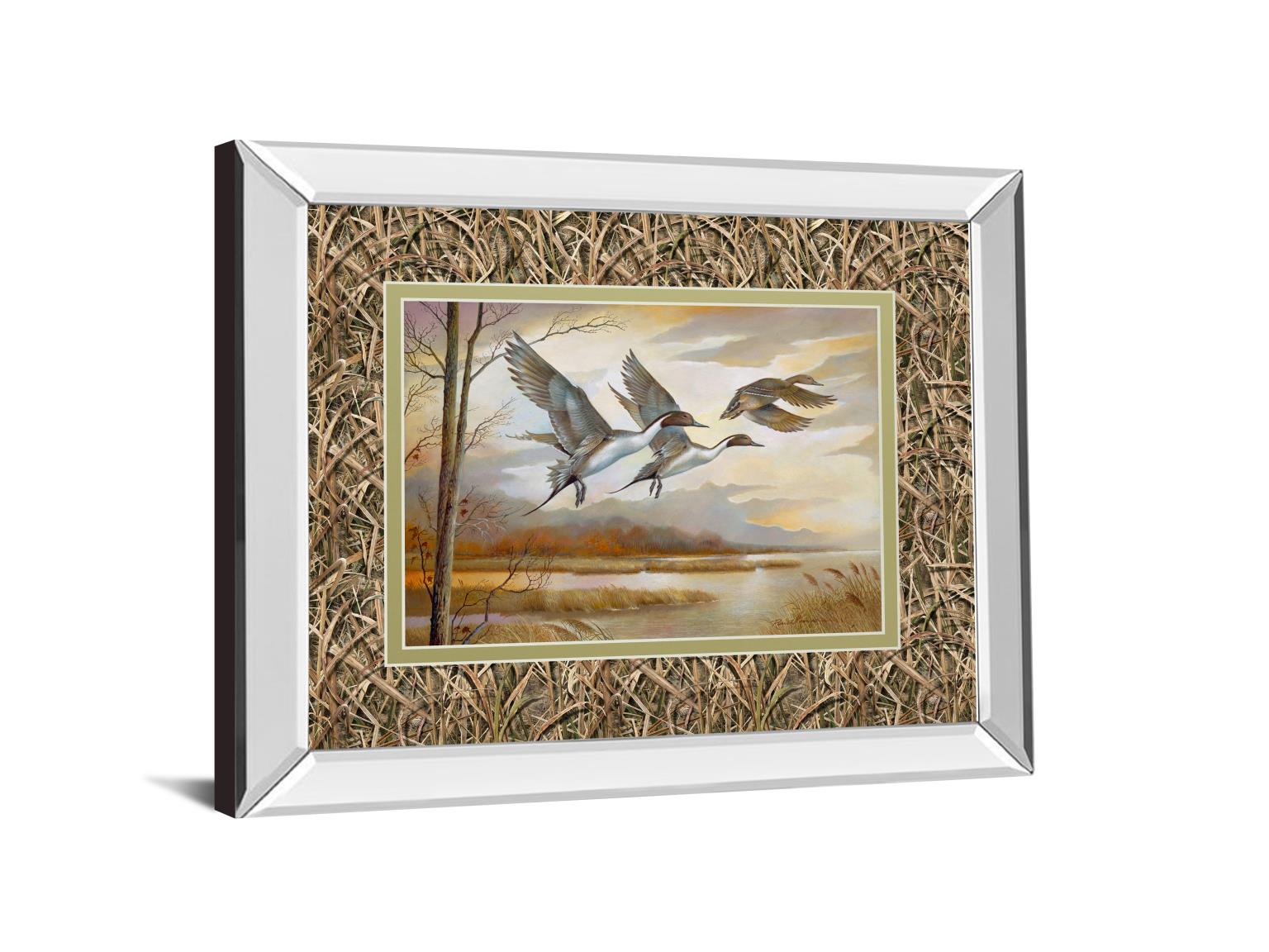 Mirrored Frame Pintails By Ruanne Manning ***Monl*** 34X40 Mirror Frame Print