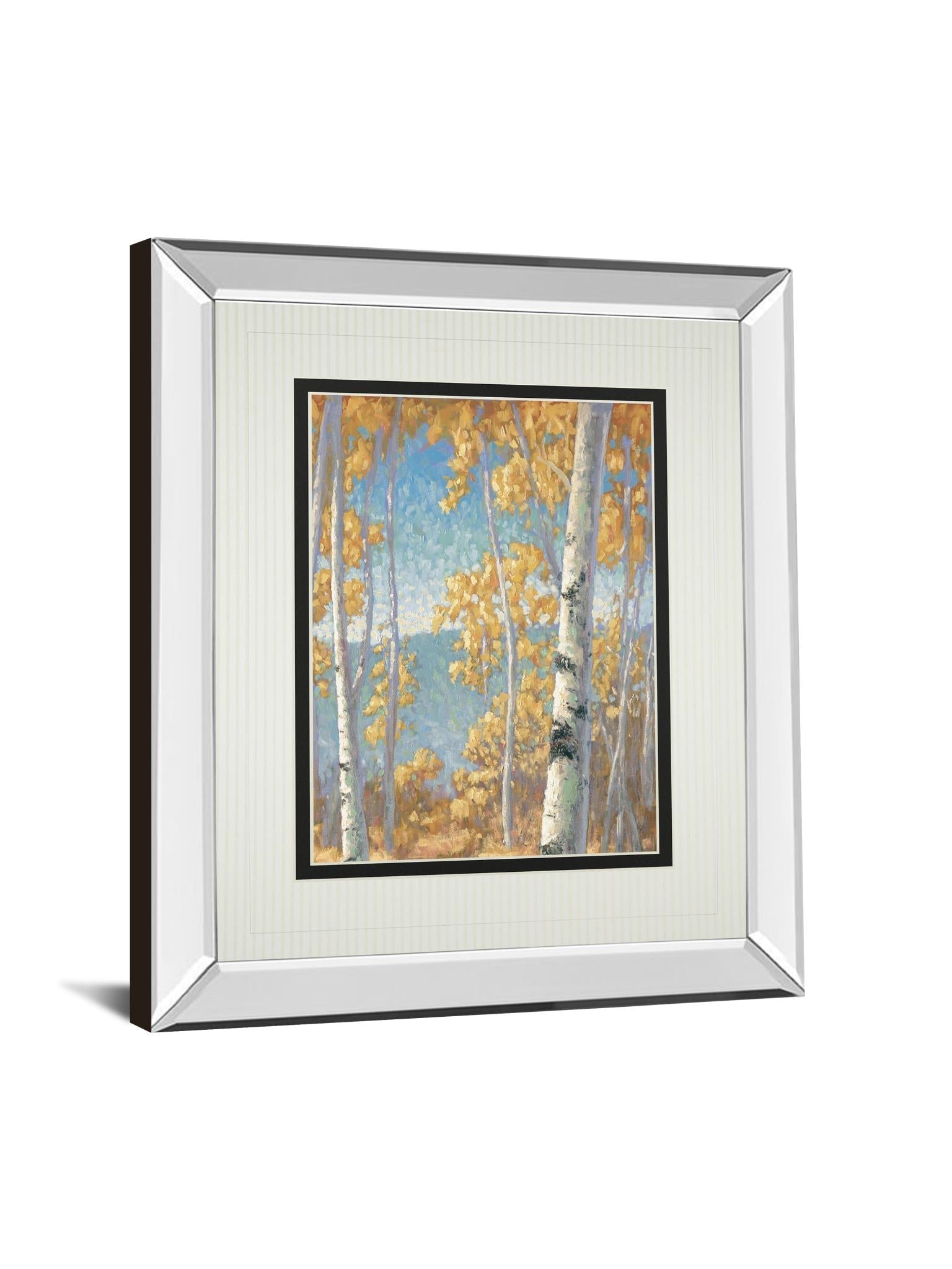 Mirrored Frame Honey Birch Ii By John Macnab 34X40 Mirror Frame Print