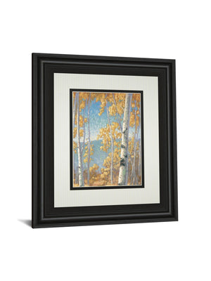 Honey Birch Ii By John Macnab 34X40 Framed Print