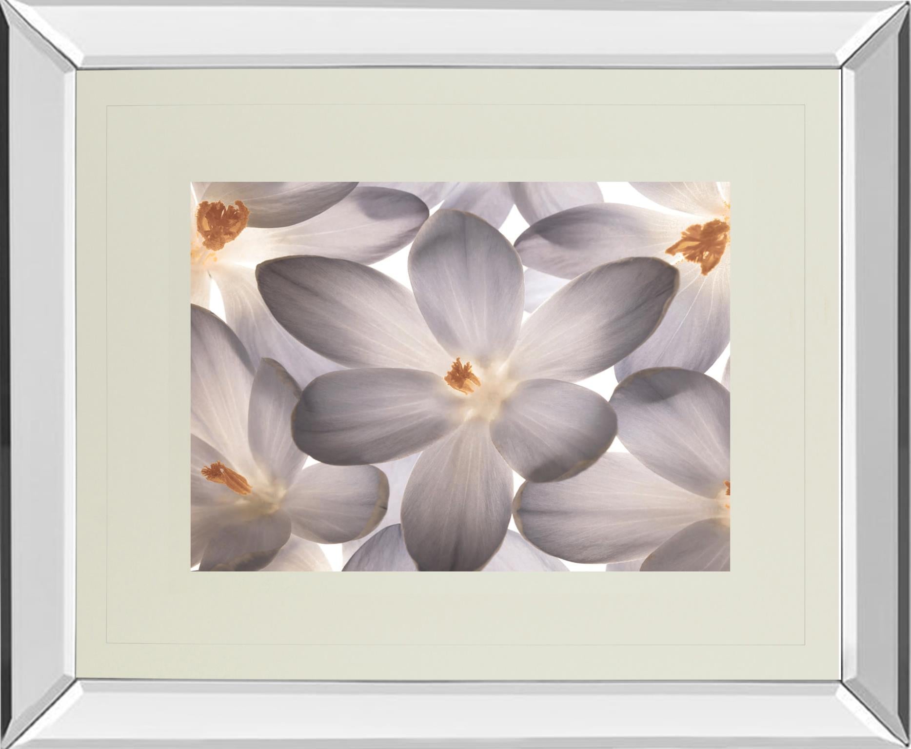 Mirrored Frame Petal Perfect By Assaf Frank 34X40 Mirror Frame Print