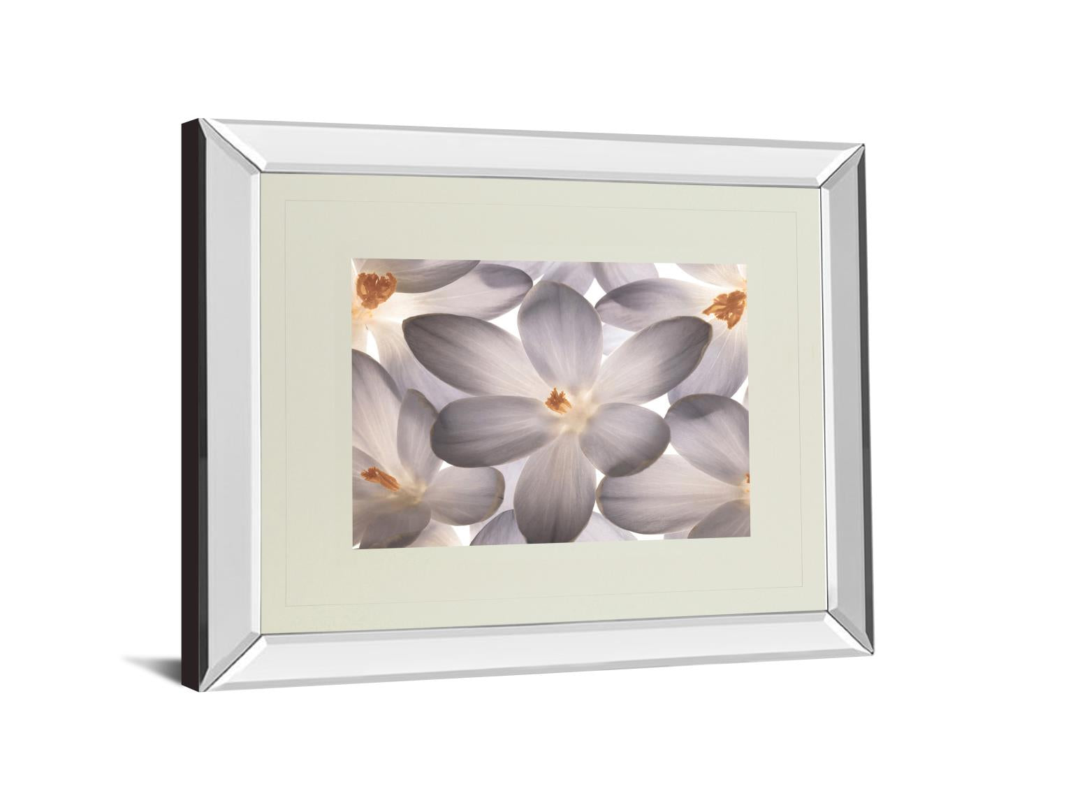 Mirrored Frame Petal Perfect By Assaf Frank 34X40 Mirror Frame Print