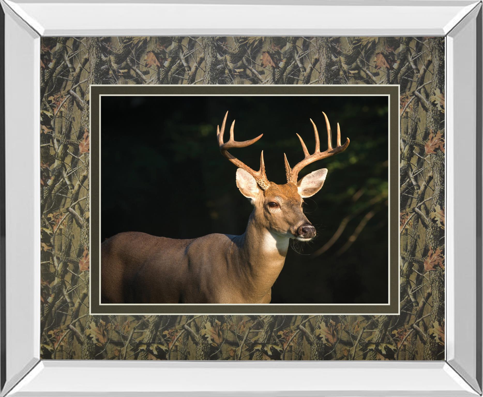 Mirrored Frame White Tail Buck By Tony Campbell 34X40 Mirror Frame Print