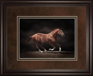 Stallion On Black By Edoma 34X40 Framed Print