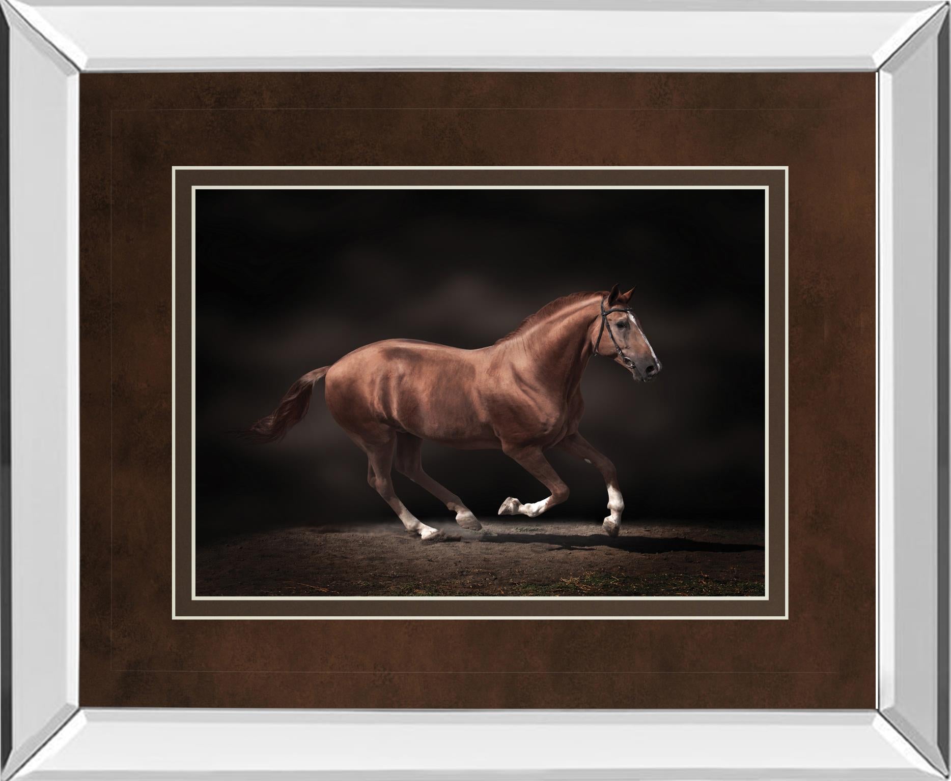 Mirrored Frame Stallion On Black By Edoma 34X40 Mirror Frame Print