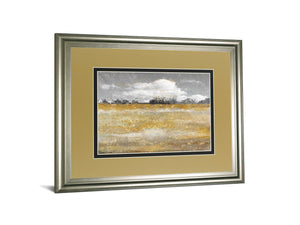 Meadow Shimmer Ii By Nan 34X40 Framed Print