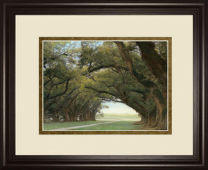 Alley Of The Oaks By William Guion ***Monl*** 34X40 Framed Print