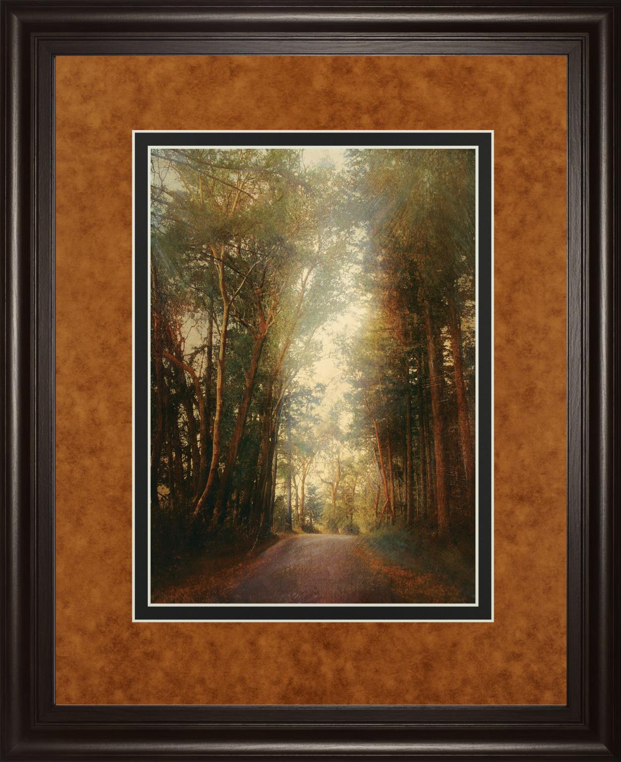 Road Of Mysteries Ii By Amy Melious ***Monl*** 34X40 Framed Print