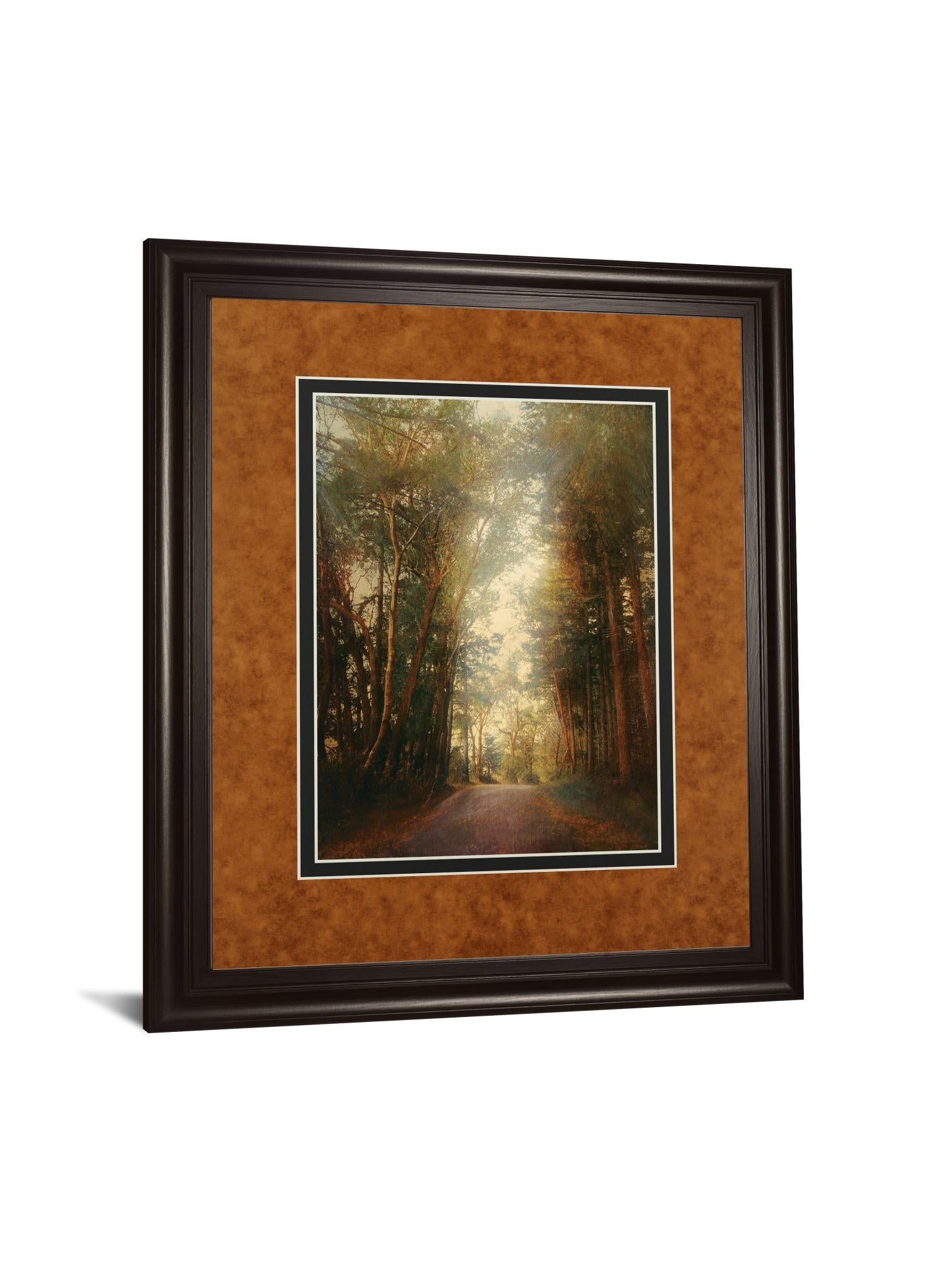 Road Of Mysteries Ii By Amy Melious ***Monl*** 34X40 Framed Print