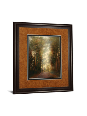 Road Of Mysteries Ii By Amy Melious ***Monl*** 34X40 Framed Print
