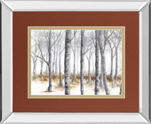 Mirrored Frame At Peace By Tita Quintero 34X40 Mirror Frame Print