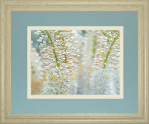 Humbled By Frank Assaf 34X40 Framed Print
