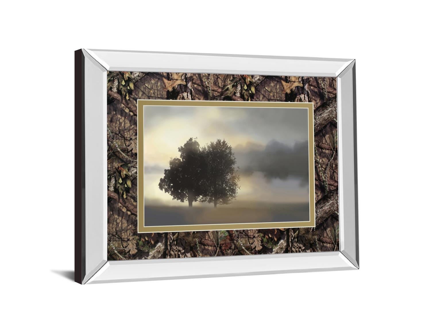 Mirrored Frame Misty Morning By Nan ***Monl*** 34X40 Mirror Frame Print