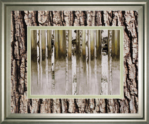 Fern Creek By Susan Jill 34X40 Framed Print