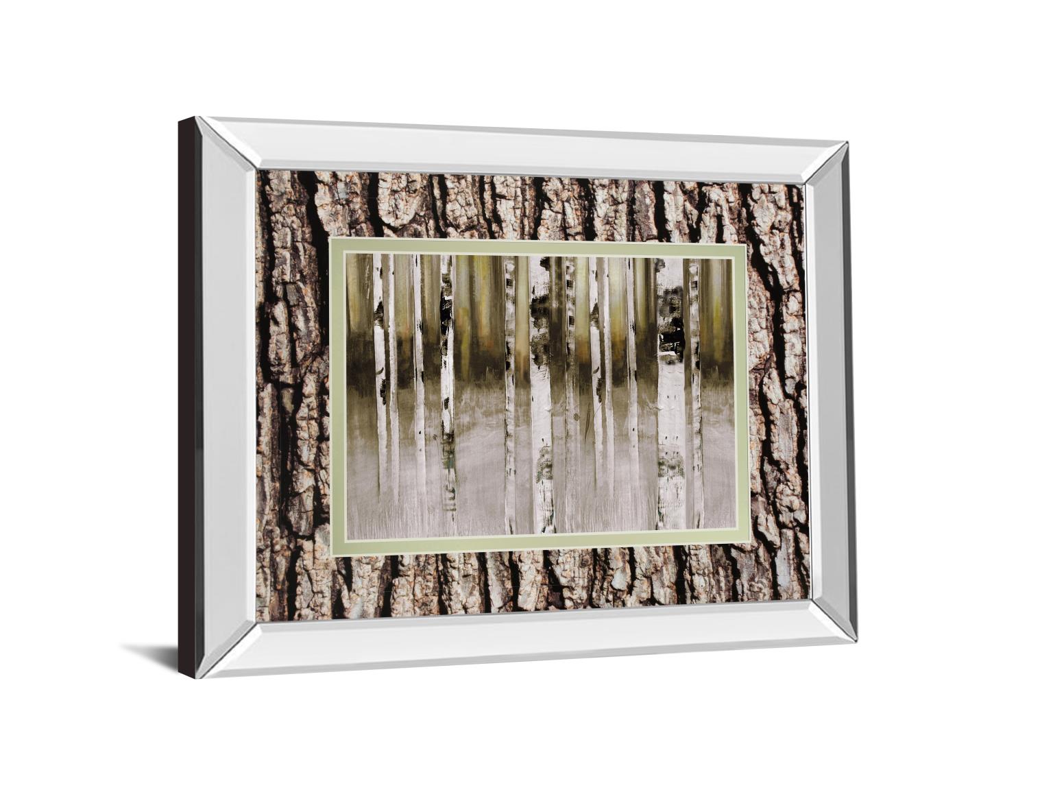 Mirrored Frame Fern Creek By Susan Jill 34X40 Mirror Frame Print