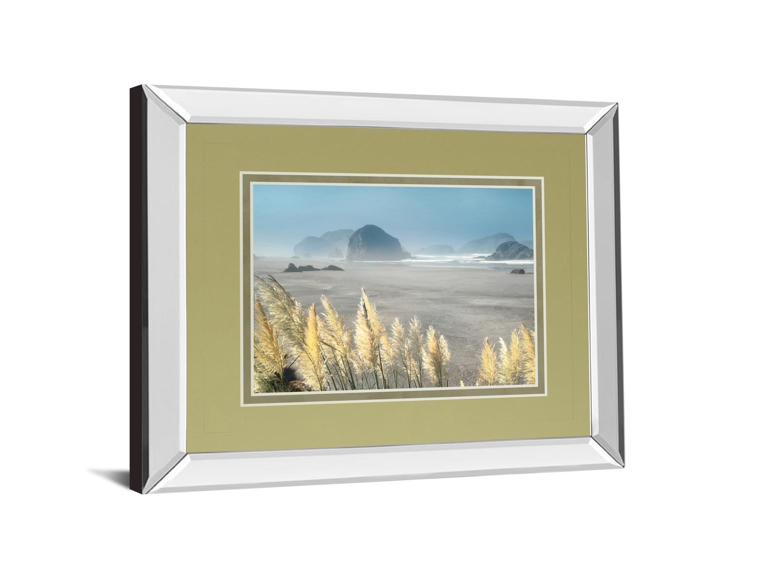 Mirrored Frame Pompas Beach By Frates 34X40 Mirror Frame Print