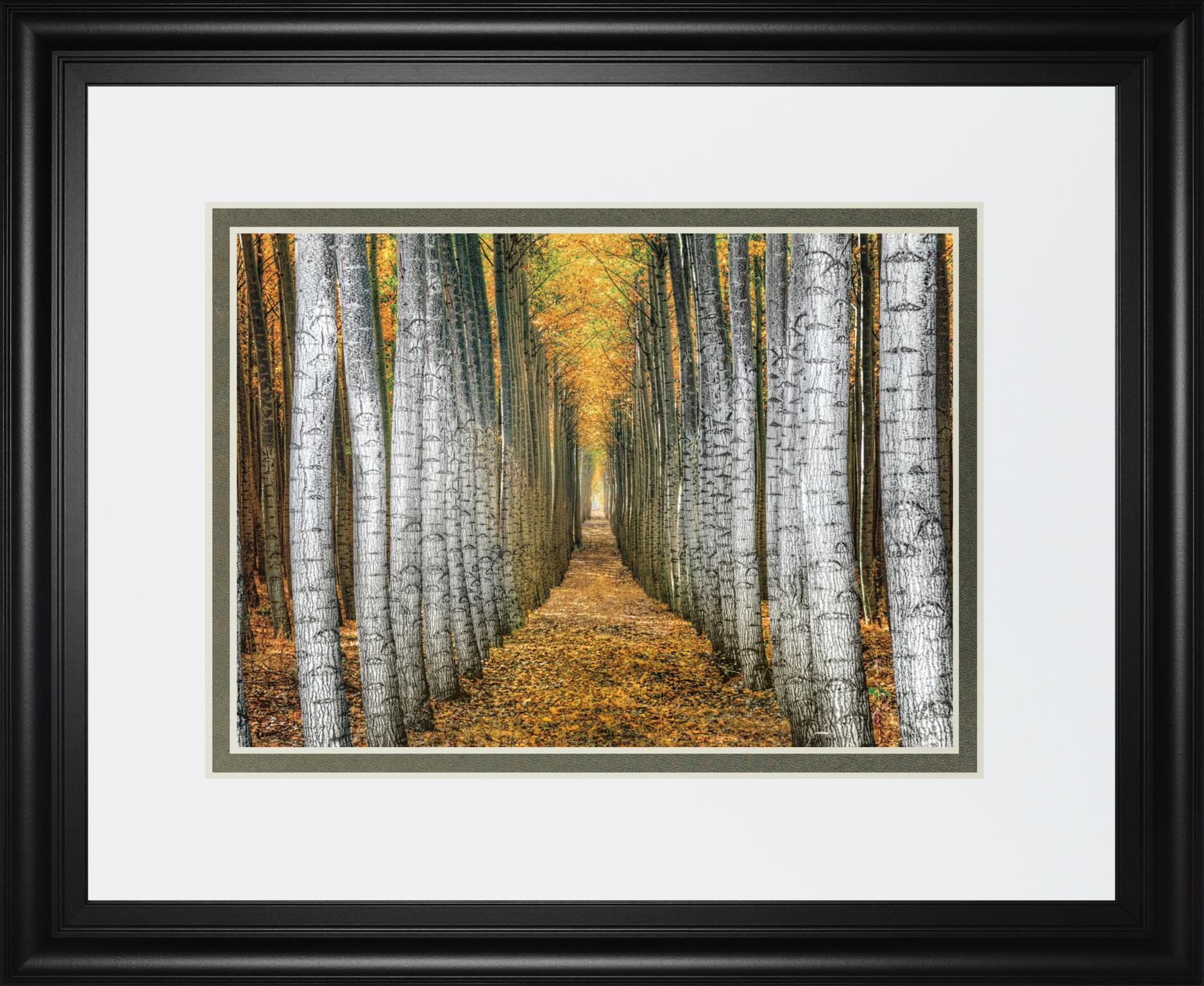 Tree Farm By Cahill 34X40 Framed Print