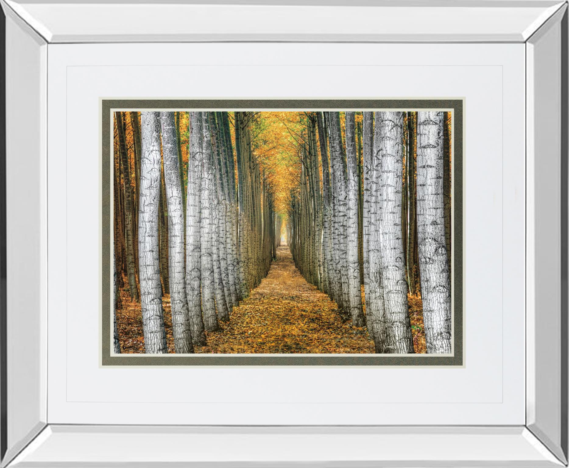Mirrored Frame Tree Farm By Cahill 34X40 Mirror Frame Print