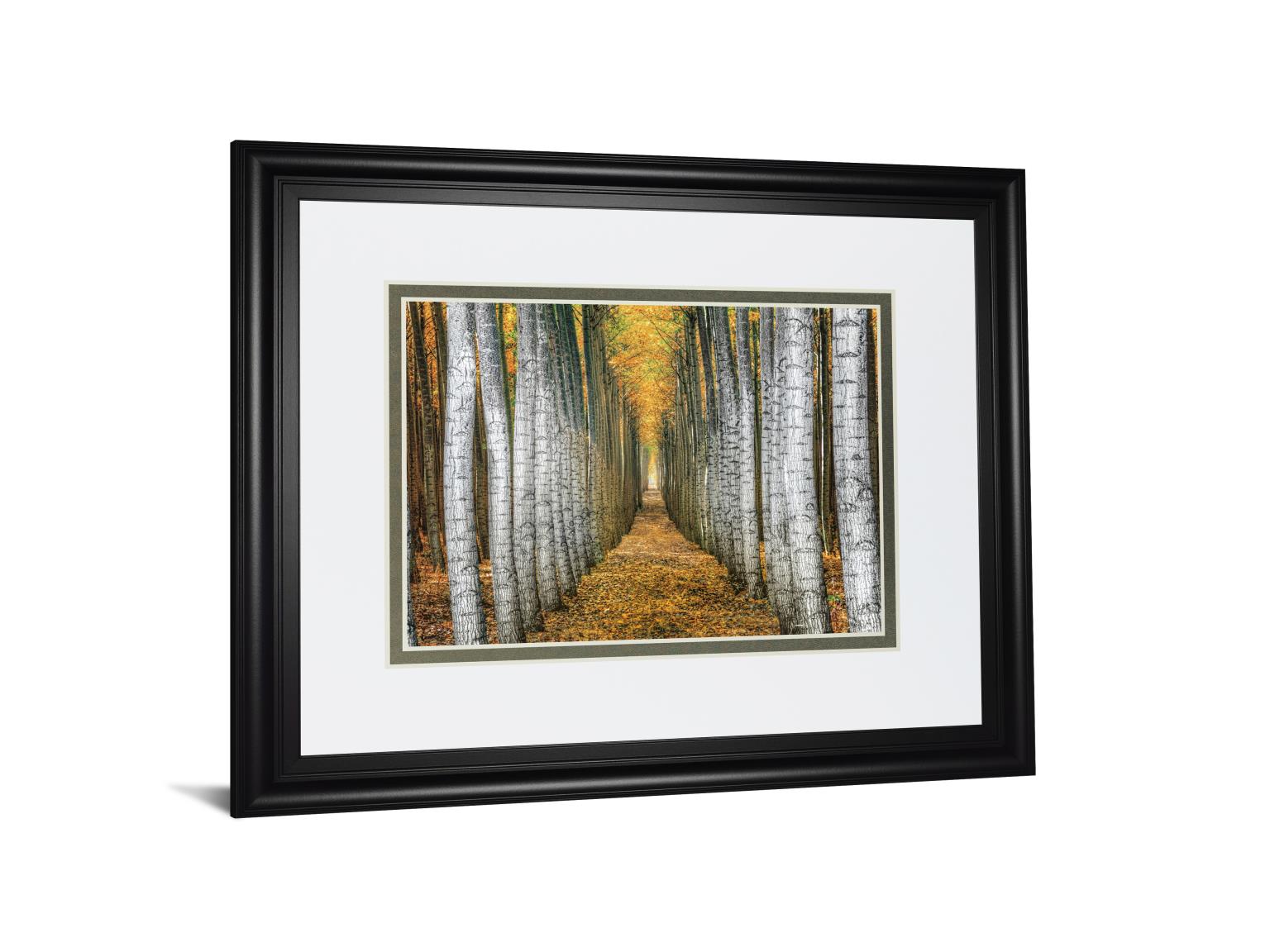 Tree Farm By Cahill 34X40 Framed Print