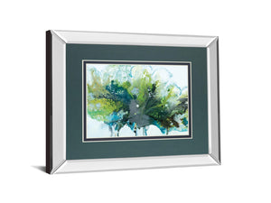 Mirrored Frame Imperial Frost By N. Barnes 34X40 Mirror Frame Print