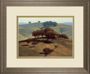 Hills Near Chico By N. Bohne 34X40 Framed Print