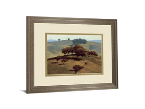 Hills Near Chico By N. Bohne 34X40 Framed Print