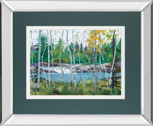 Mirrored Frame Extounge Rapids By G. Forsythe 34X40 Mirror Frame Print
